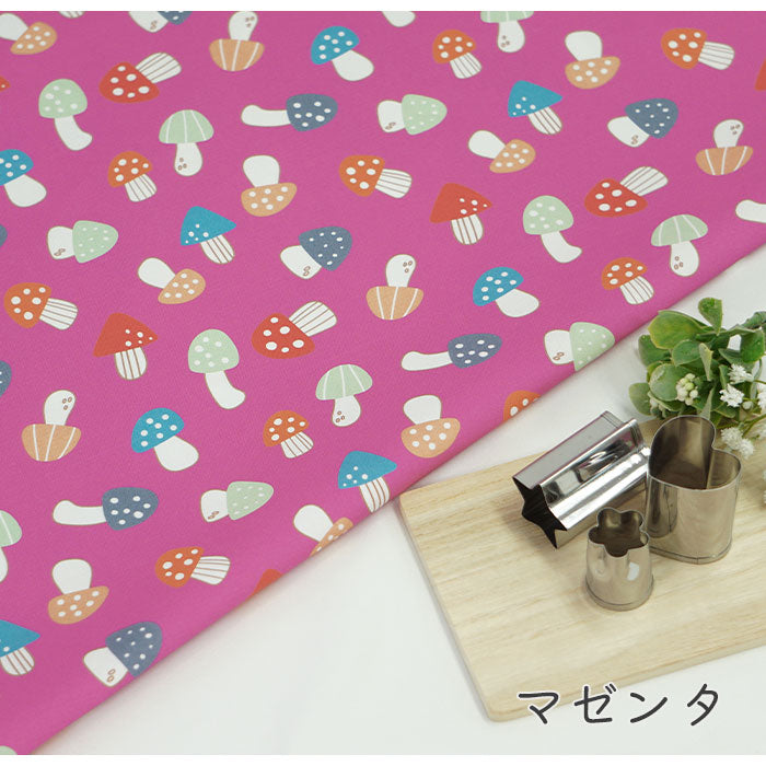 《 キノコの里 》コットン100% オックス MA-0125~0128