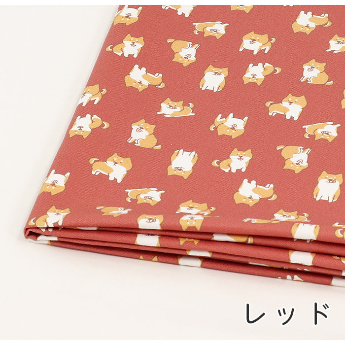 《 我が家のマロ 》コットン100% オックス MA-0392~0397