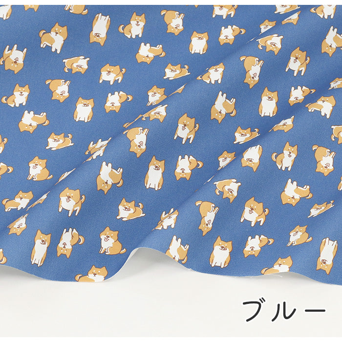 《 我が家のマロ 》コットン100% オックス MA-0392~0397