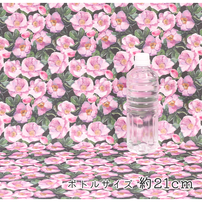 《 穏やかな朝 》コットン100% オックス MA-0398