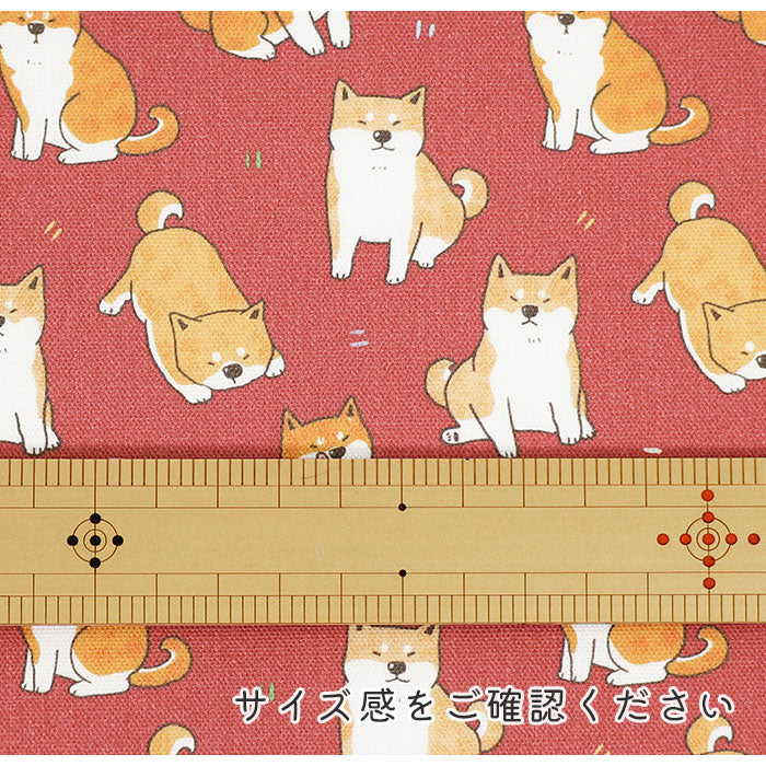 《 僕とご主人 》コットン100% オックス MA-0413~0417