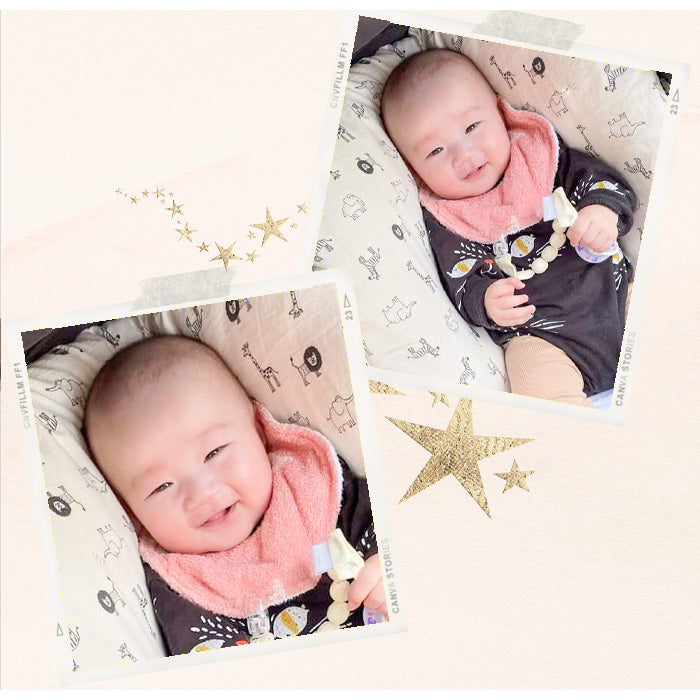 《 あにまるず 》コットン100% オックス MA-0273~0274