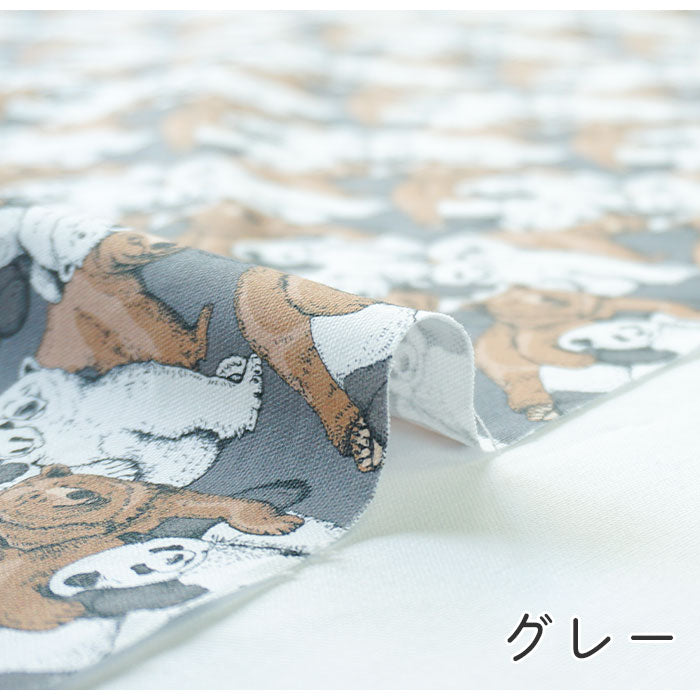 《 ぼくはクマ、ぼくもクマ。 》コットン100% オックス MA-0021~0024