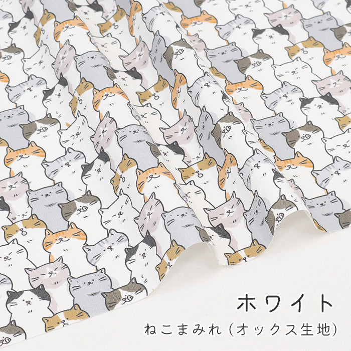 《 ねこまみれ 》コットン100% オックス MA-0569~0570