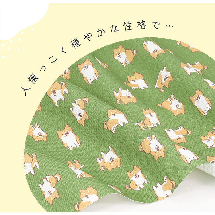 《 我が家のマロ 》コットン100% オックス MA-0392~0397