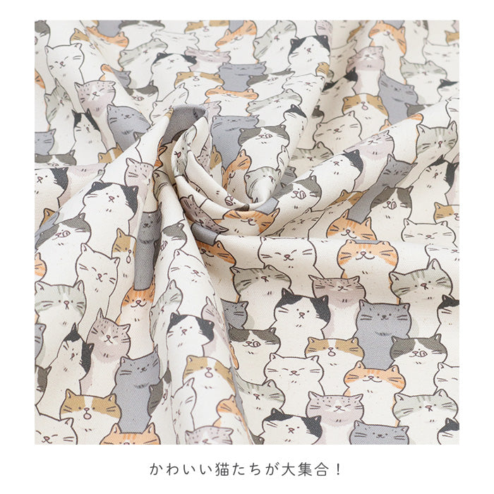 《 ねこまみれ 》コットン100% オックス MA-0569~0570