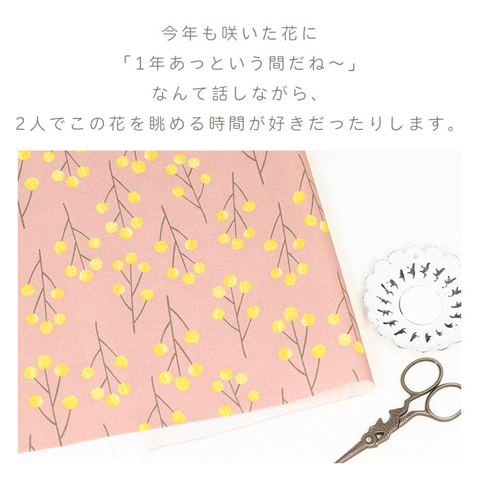 《 mimosa 》 コットン100% オックス MA-0507~0512