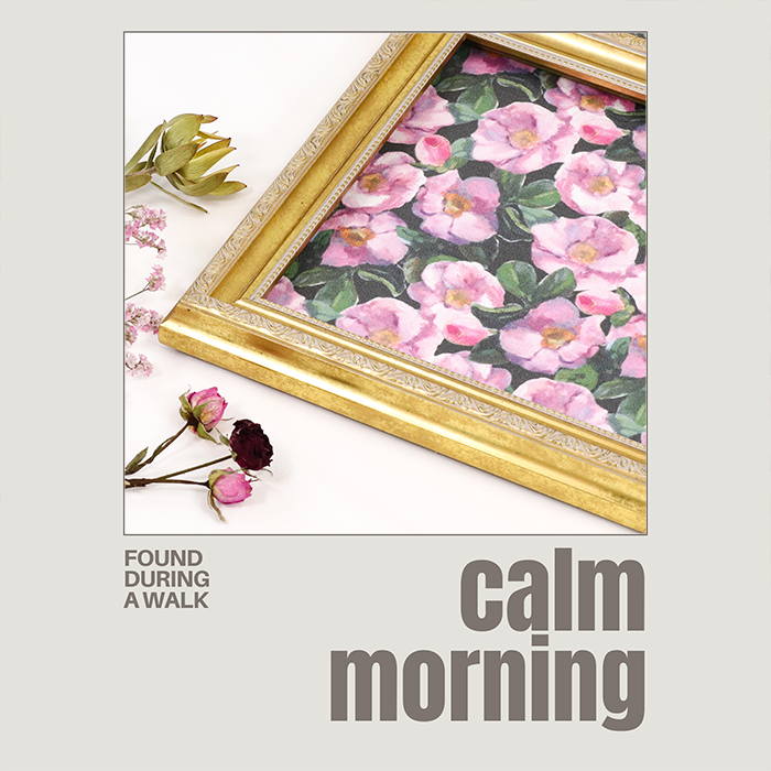 《 穏やかな朝 》コットン100% オックス MA-0398