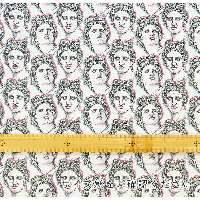 《 神々の集い 》コットン100% オックス MA-0019~0020