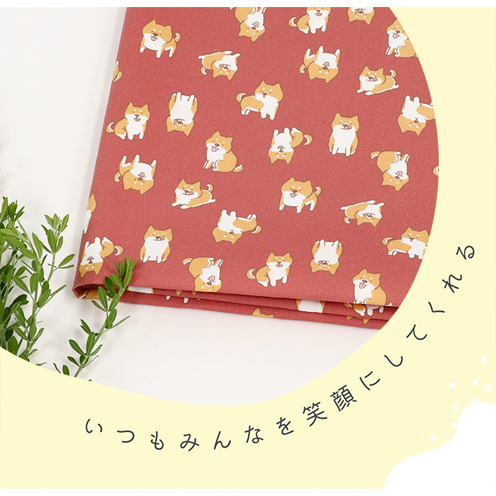 《 我が家のマロ 》コットン100% オックス MA-0392~0397