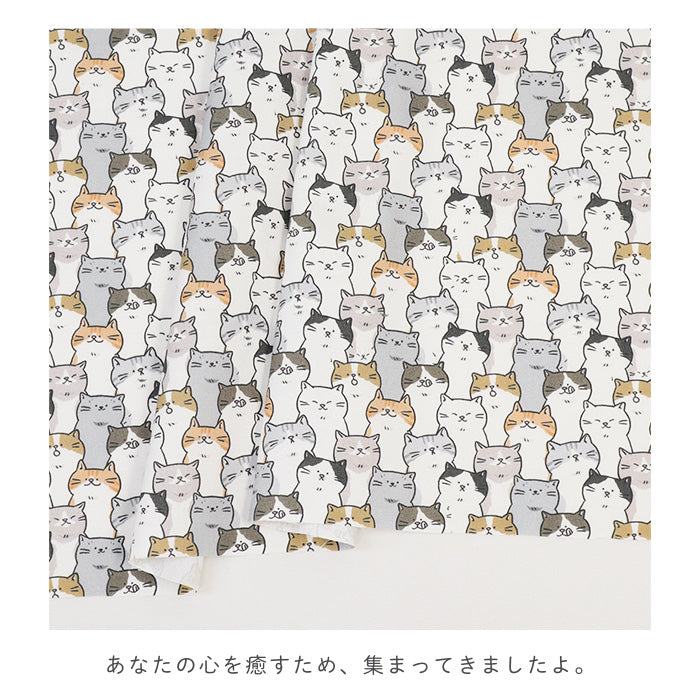 《 ねこまみれ 》コットン100% オックス MA-0569~0570