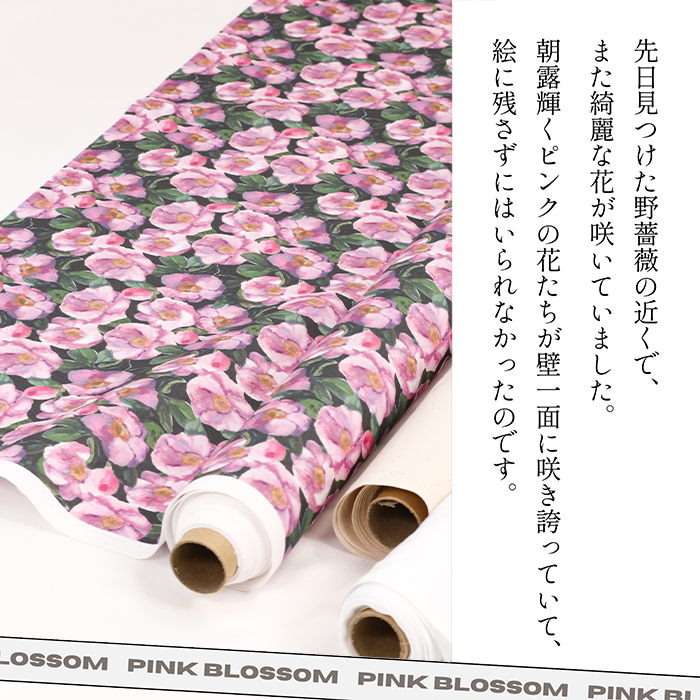 《 穏やかな朝 》コットン100% オックス MA-0398