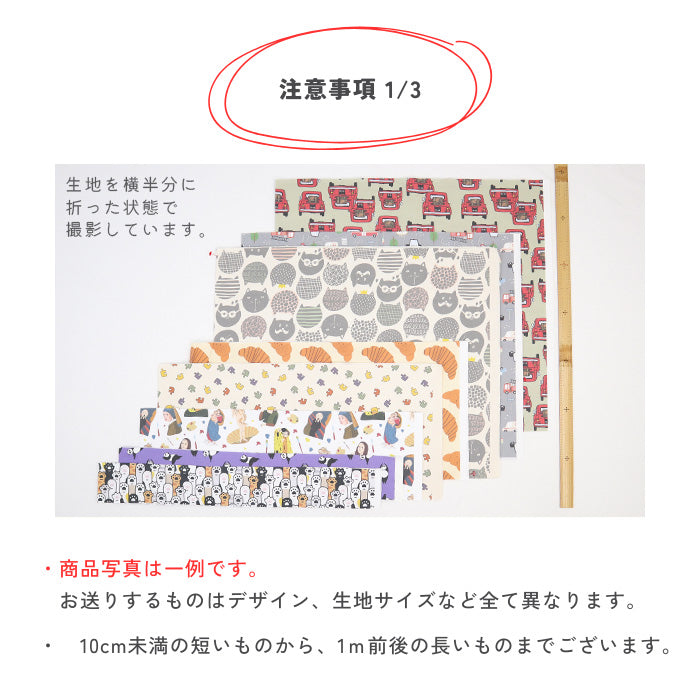 【訳あり】ハギレ お楽しみセット オックス たっぷり500g詰合せ