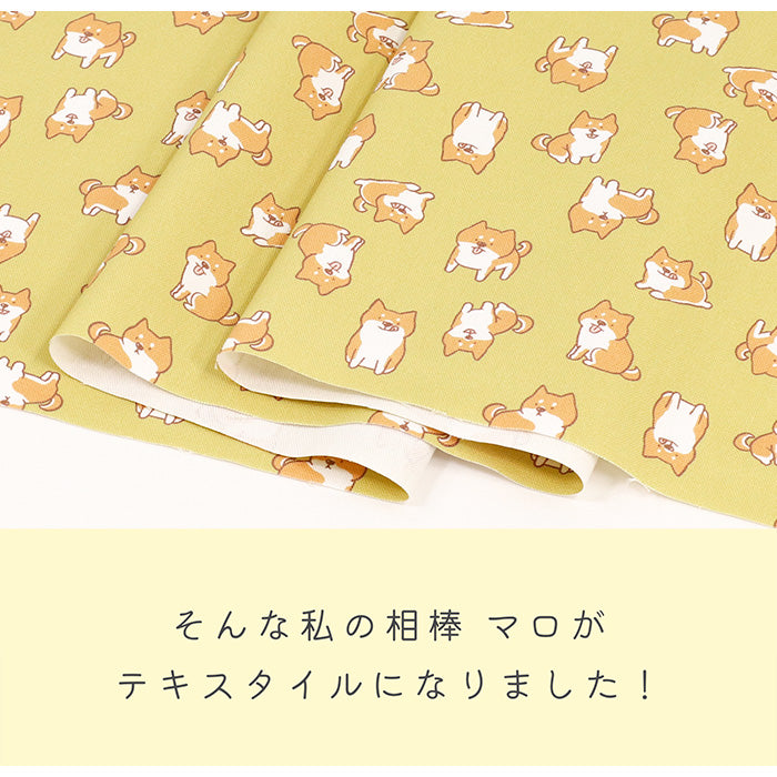 《 我が家のマロ 》コットン100% オックス MA-0392~0397