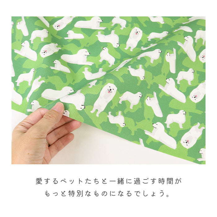 《 グレイトピレニーズパラダイス 》コットン100% オックス MA-0554~0557