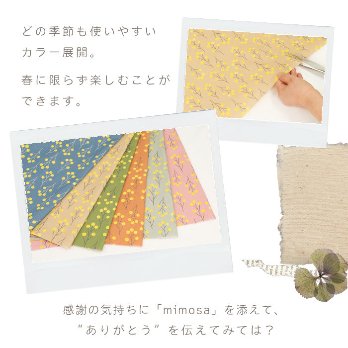 《 mimosa 》 コットン100% オックス MA-0507~0512