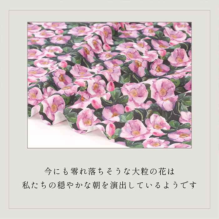 《 穏やかな朝 》コットン100% オックス MA-0398