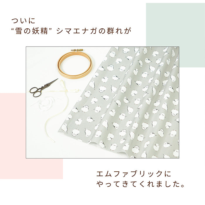 《 シマエナガ 》コットン100% オックス MA-0244~0250