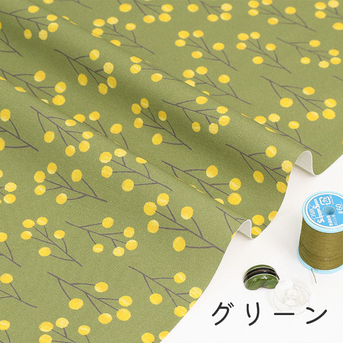 《 mimosa 》 コットン100% オックス MA-0507~0512