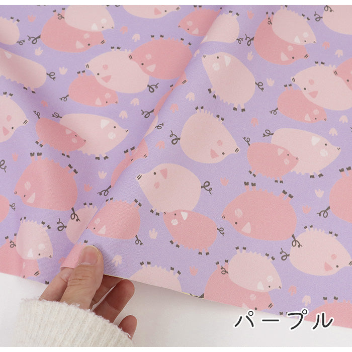 《 ピクニック ピッグ 》コットン100% オックス MA-0597~0600