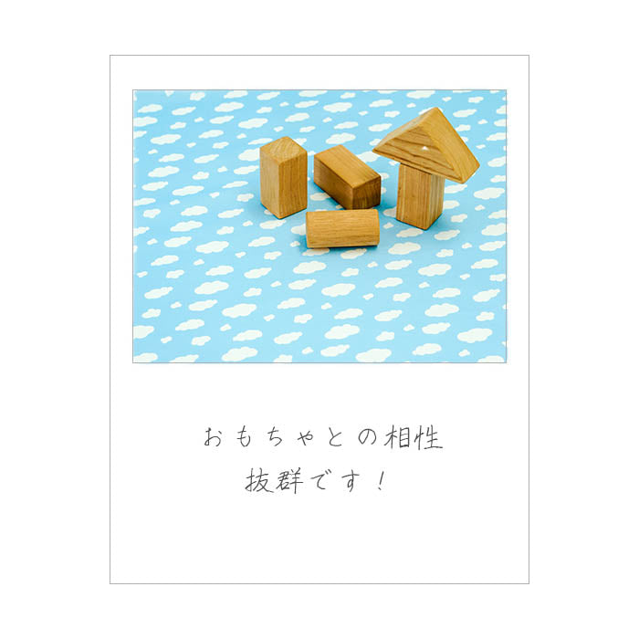 《 くも 》コットン100% シーチング MA-0179