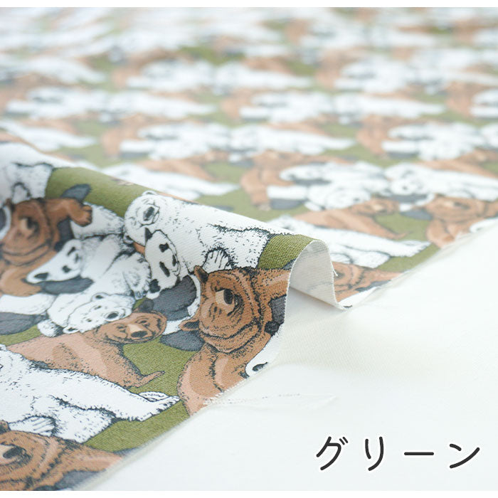 《 ぼくはクマ、ぼくもクマ。 》コットン100% オックス MA-0021~0024