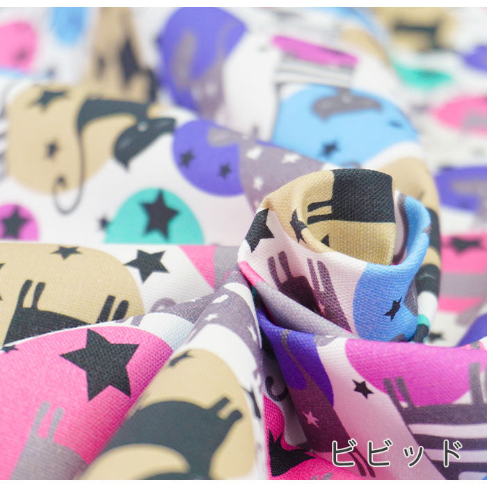 《 ねこのミーヤ 》コットン100% オックス MA-0129~0130