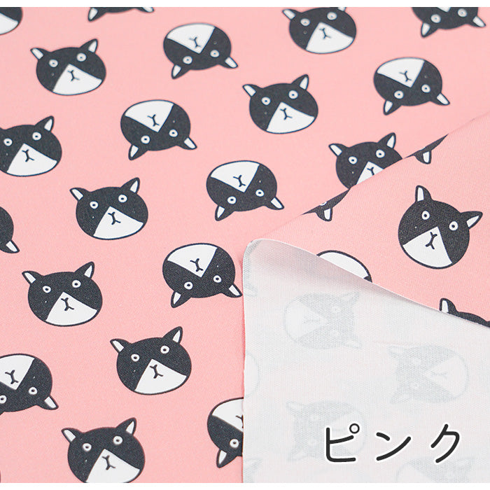 《 ネコですけど? 》コットン100% オックス MA-0080~0084