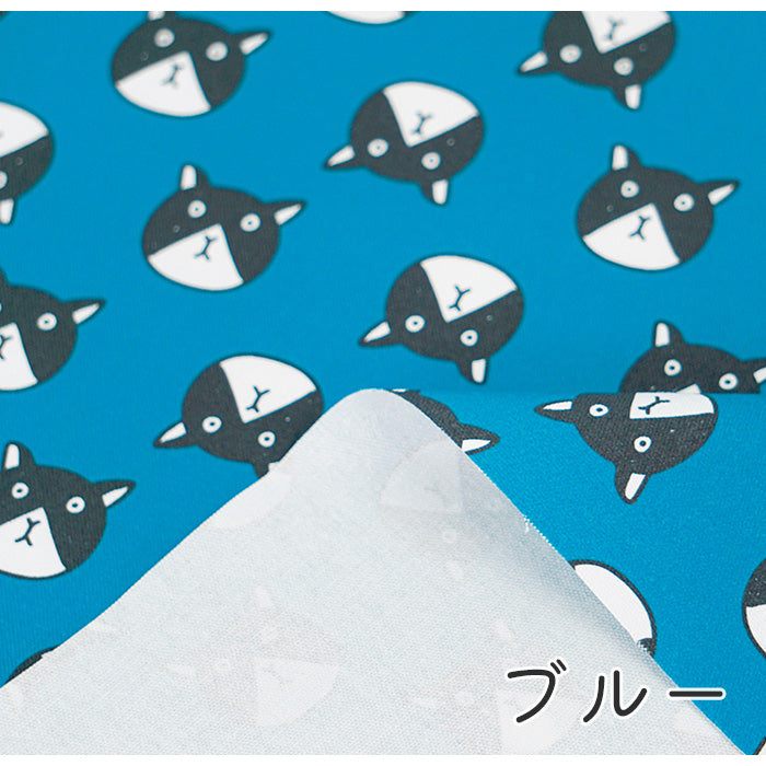 《 ネコですけど? 》コットン100% オックス MA-0080~0084