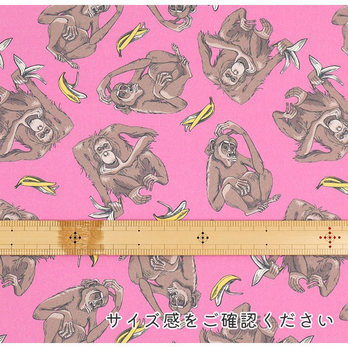 《Eat BANANA》 コットン100％ オックス MA-0489～0493