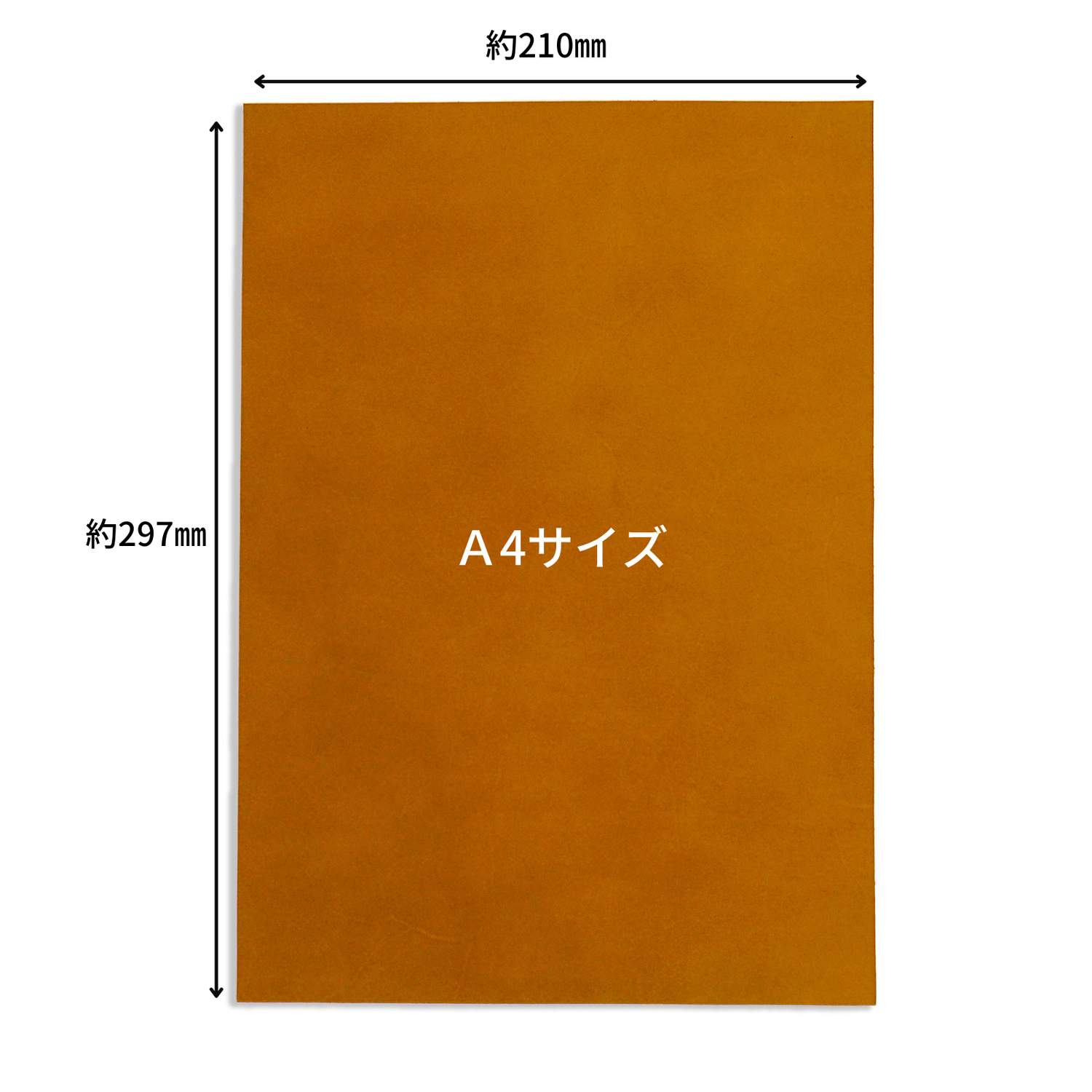 ヌメ革　オイルスムース　A4サイズ　1.5㎜厚　1枚
